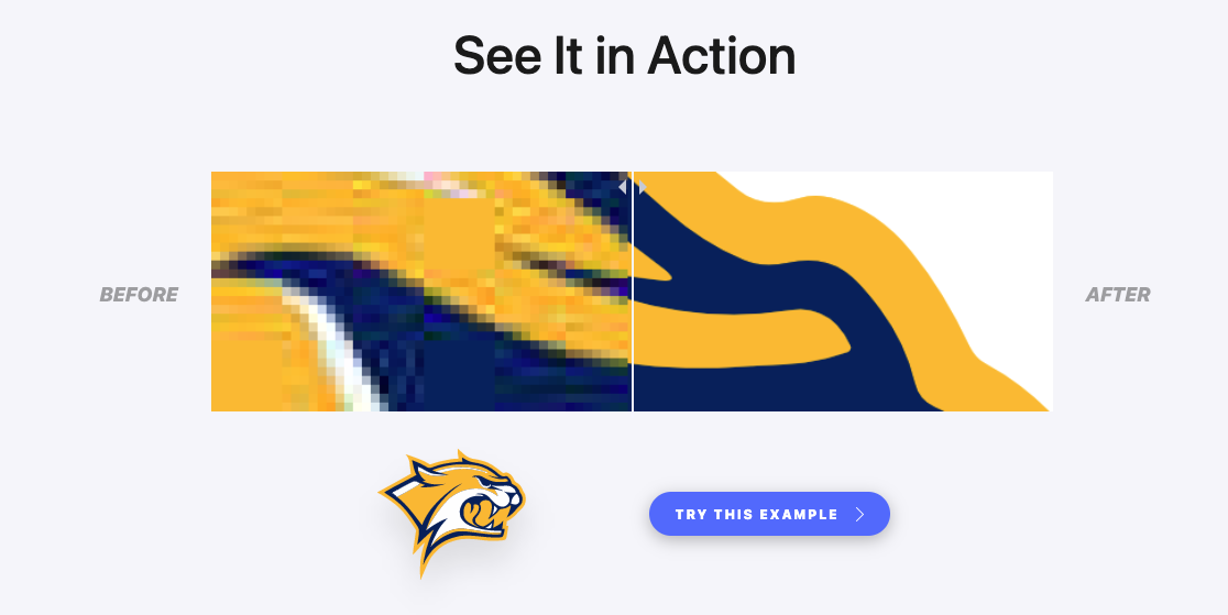Vectorizer.AI-矢量图在线转换工具